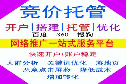 SEM服务案例：打造行业领先品牌